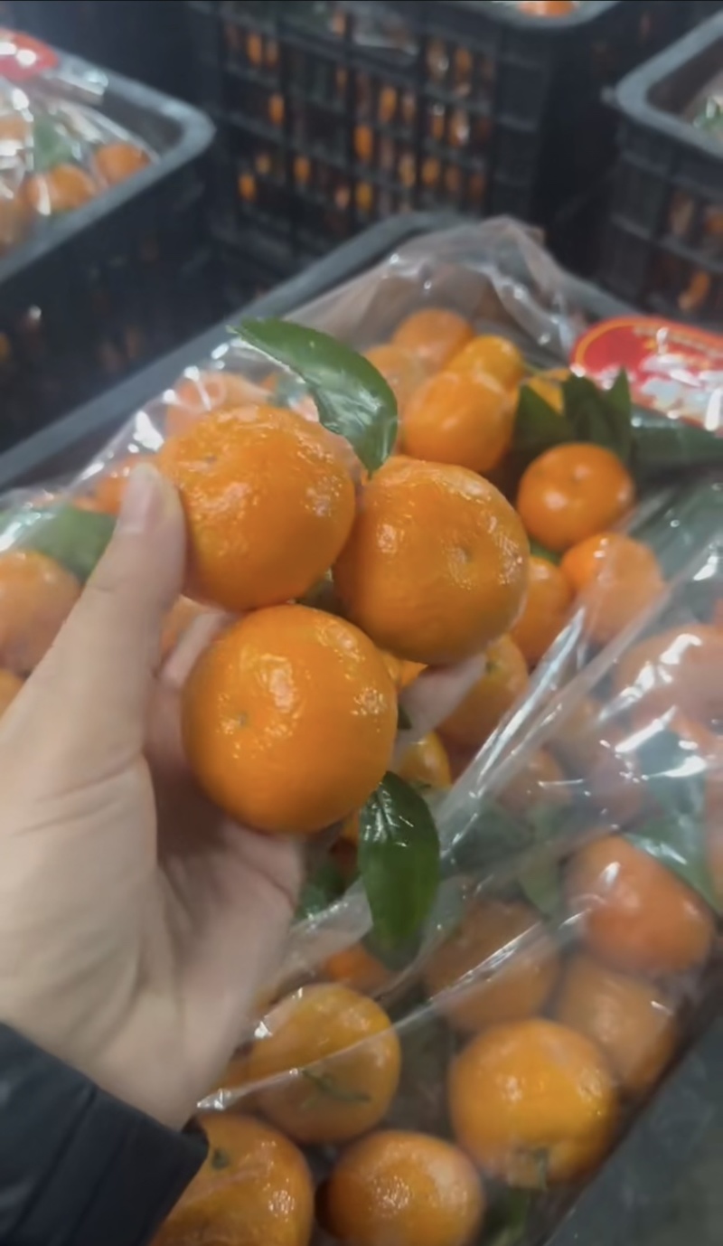 广西砂糖橘颜色火红口感纯甜支持全国发货视频看货