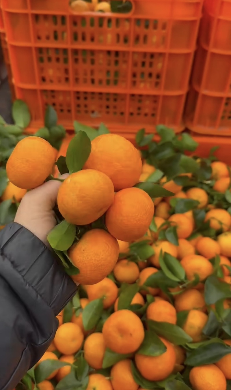 广西砂糖橘颜色火红口感纯甜支持全国发货视频看货