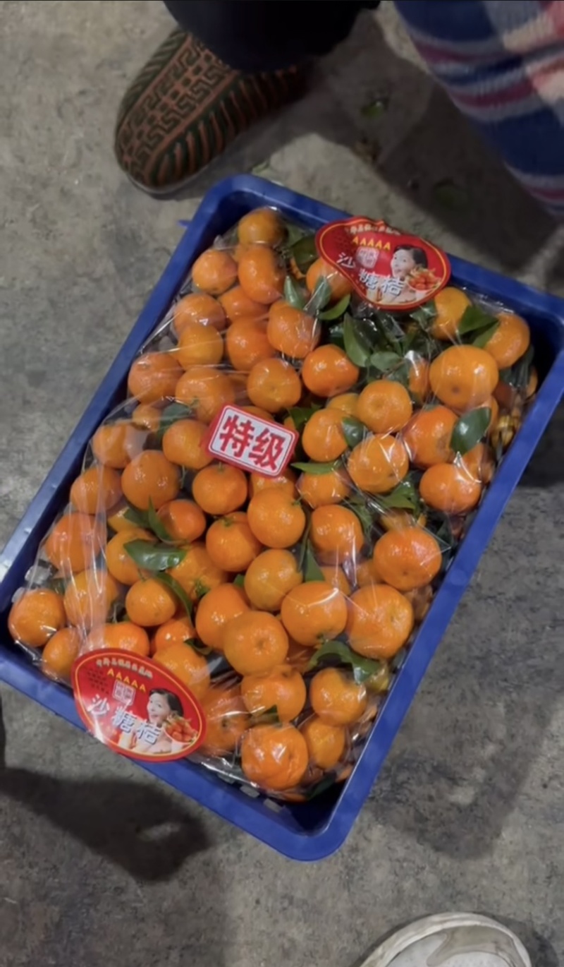 广西砂糖橘颜色火红口感纯甜支持全国发货视频看货