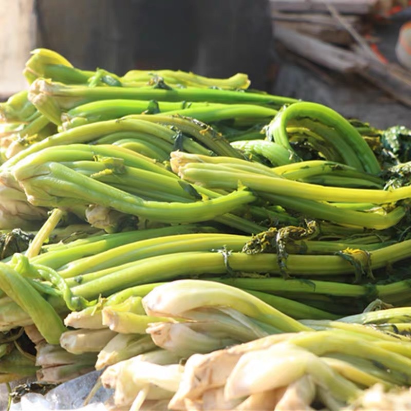 正宗梅菜干干货特级整颗农家他制无盐梅州梅菜干