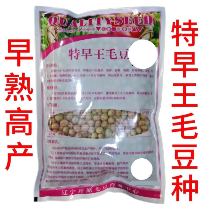 特早王60天毛豆种子早春熟矮杆菜用大豆黄豆菜种子优质青毛