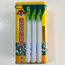 大葱种子山东章丘正宗铁杆大梧桐大葱籽四季葱种子高产耐