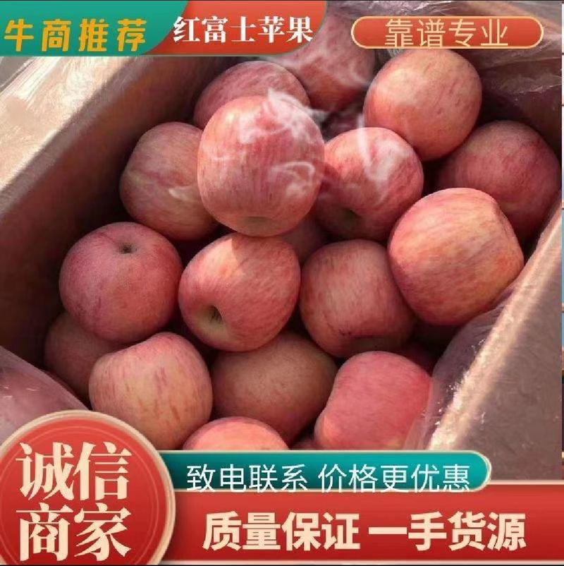 湖南精品苹果红富士产地直销货源稳定质量保证价格优惠来电谈