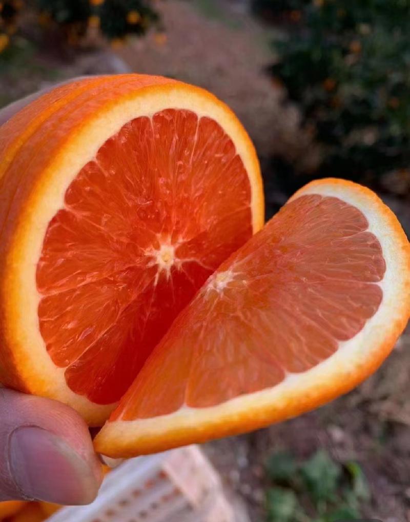【精品】血橙果肉汁水红色满满维C产地鲜果现采的