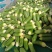 水洗水果萝卜口感好质优价廉欢迎各位客户光临