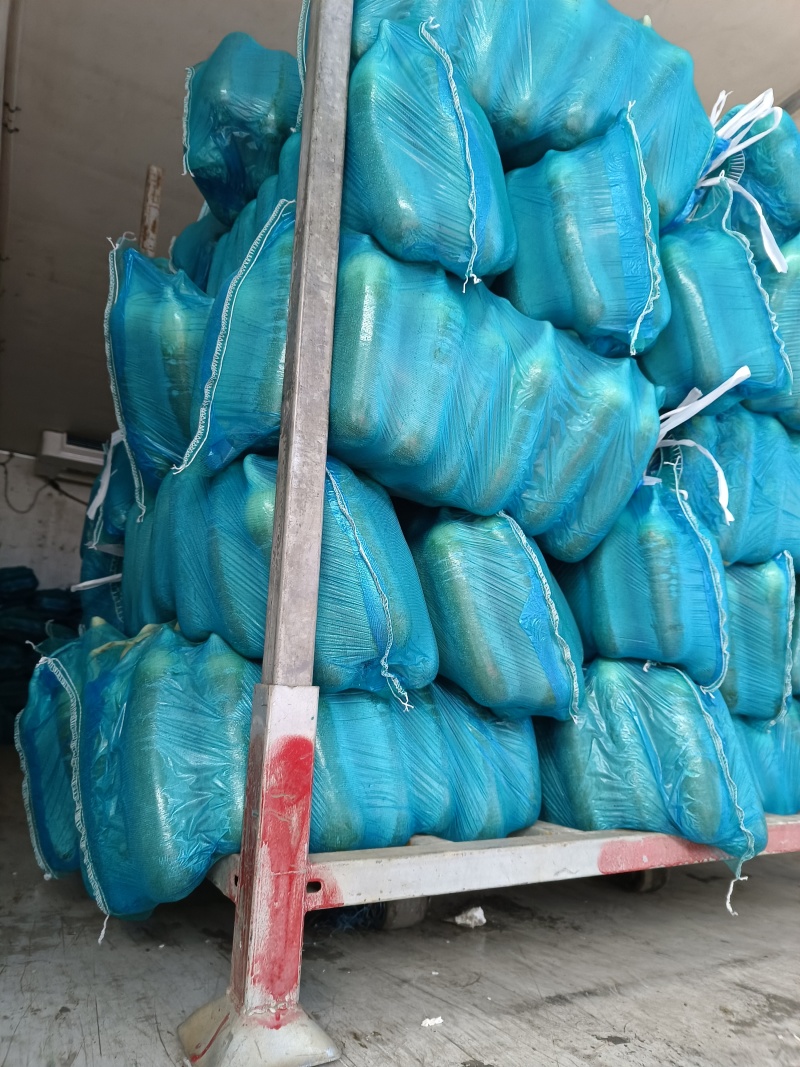 水洗水果萝卜口感好质优价廉欢迎各位客户光临