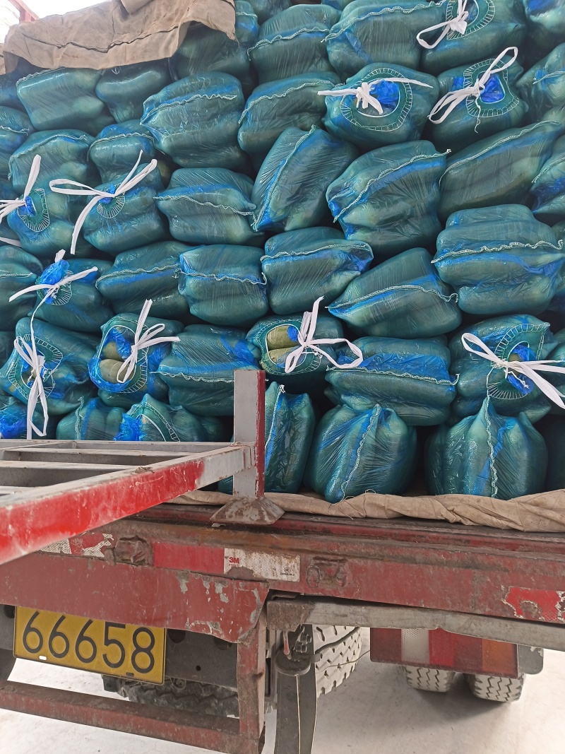 水洗水果萝卜口感好质优价廉欢迎各位客户光临