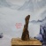 广西天然沉香木摆件年年有余