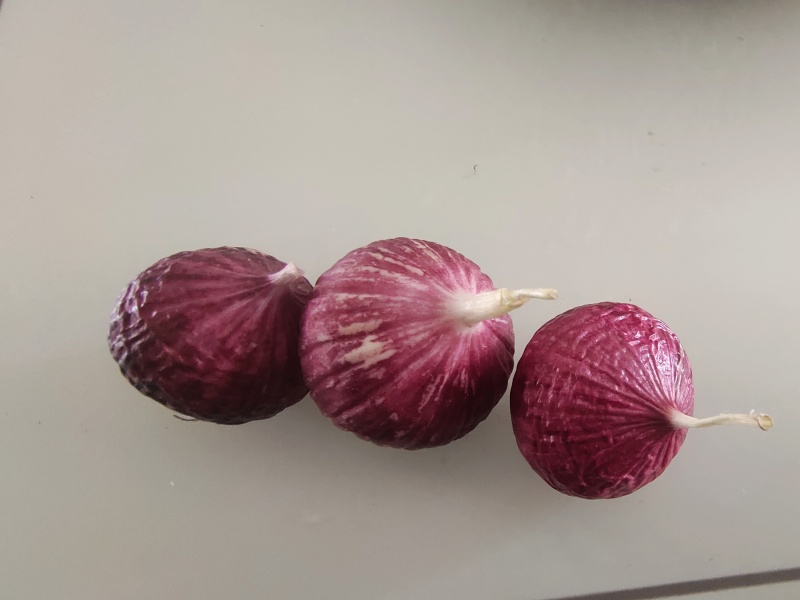大蒜