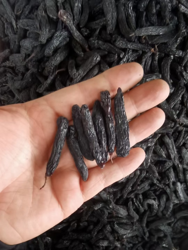 新疆蓝宝石葡萄干又称美人指葡萄干，葡萄界的爱马仕。