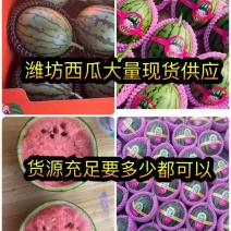 《现货》2k小糖丸西瓜产地直发各大平台、市场、赶集货