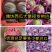 【现货】2k小糖丸西瓜产地直发各大市场、商超、电商赶集、