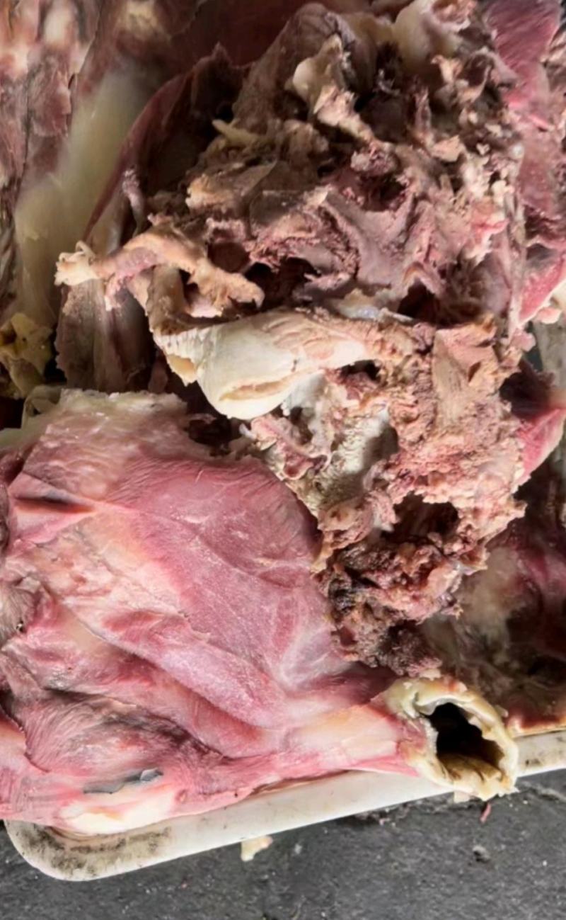 全熟精修去皮牛头肉精品牛肉批发价格详谈致电