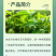 一帆80%代森锰锌果树苹果斑点落叶斑病杀菌剂广谱100