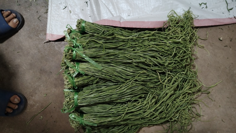 贡菜优质贡菜销售一手货源干度好产地直供代发欢迎老板联系