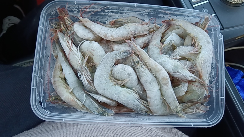 南美白对虾