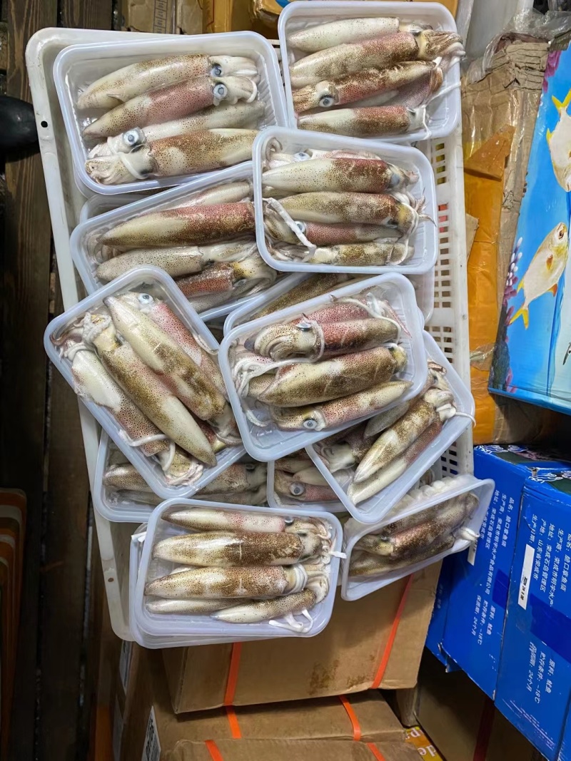 鱿鱼、北海鱿鱼、净重足一斤包装发货、灯照船捕长期有量直批