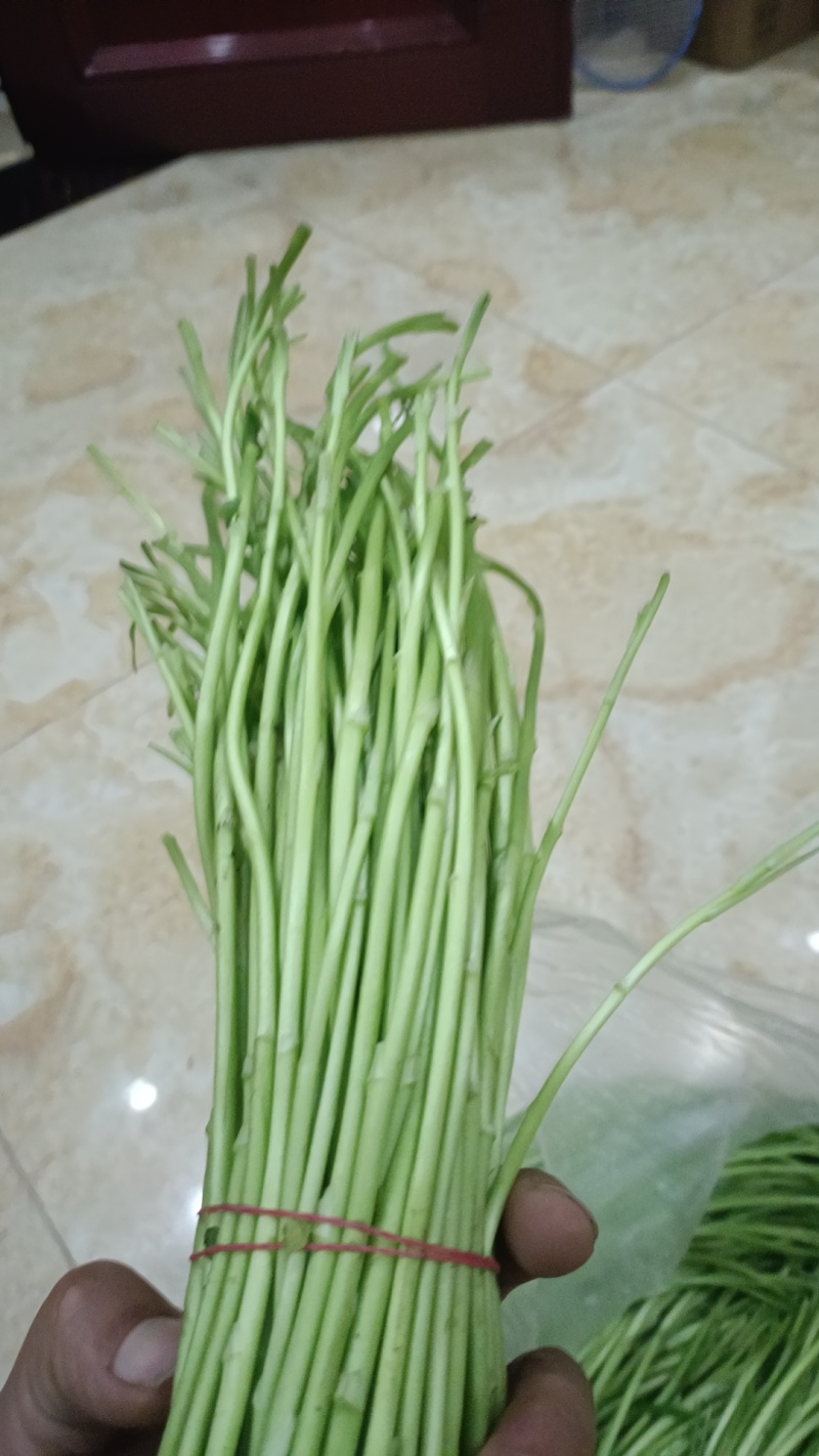 精品净芦蒿