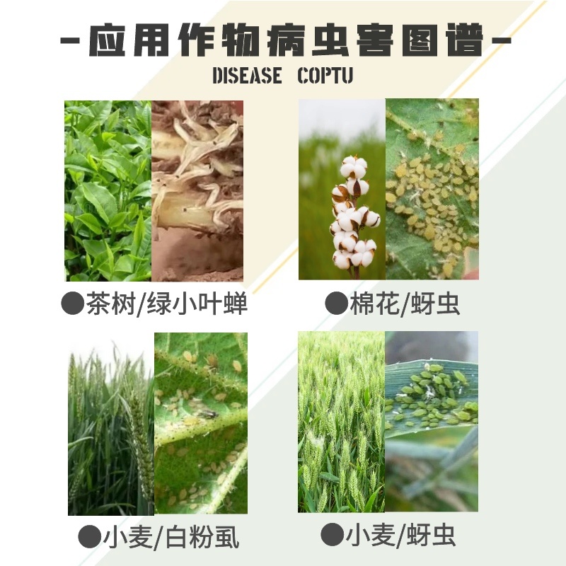 野田飞落70%噻虫嗪茶树棉花小麦茶小绿叶蝉蚜虫飞虱农用剂