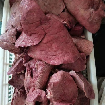 精品牛肺，肉质鲜美。品质保证。欢迎大家来电咨询