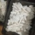 红托竹荪