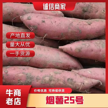烟薯25号紫薯板栗薯各种红薯有货货源充足大量有货