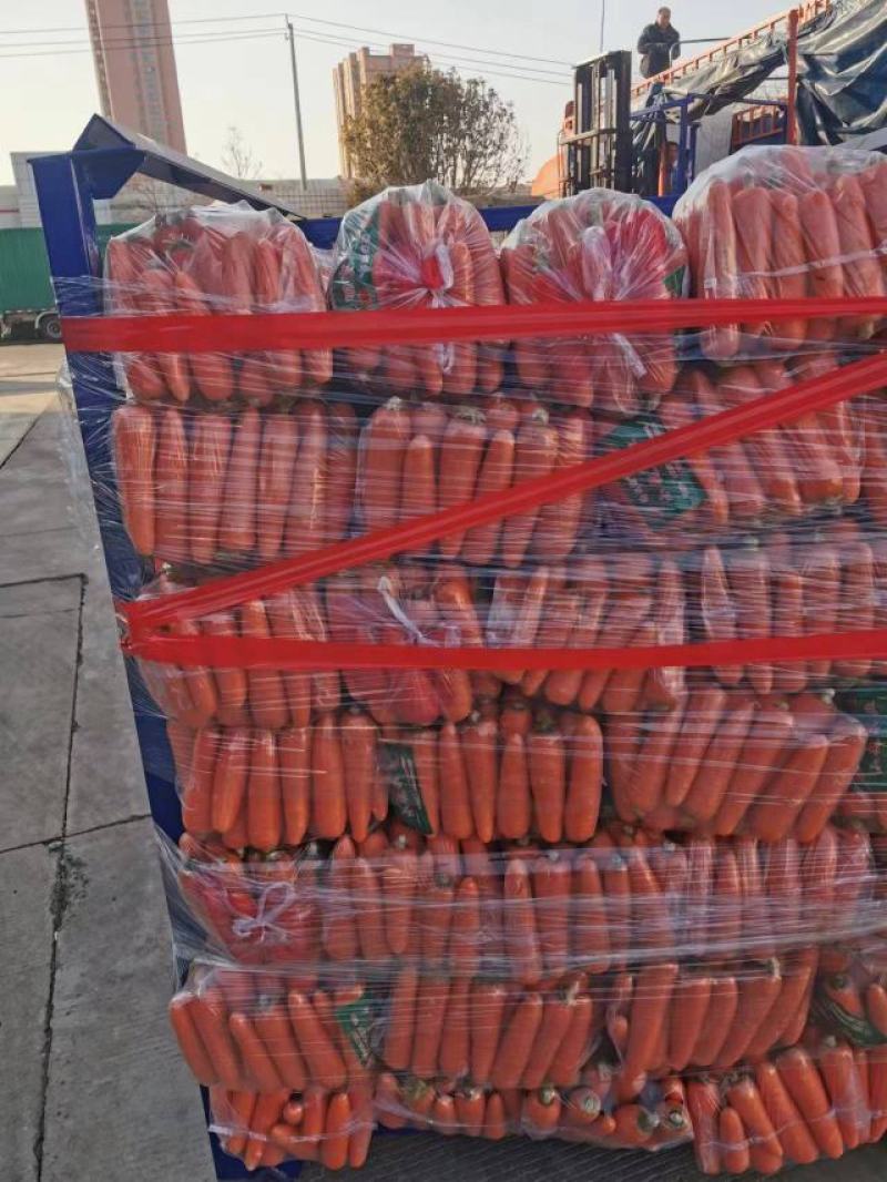 河南冷库袋装水洗红萝卜大量出货中