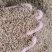 蛇床子干货籽类蛇床子中药材！欢迎选购！