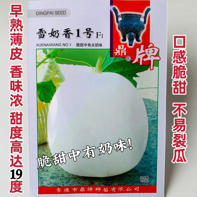鼎牌雪奶香1号甜瓜种子特甜香味浓薄皮甜瓜种籽耐裂脆甜香瓜