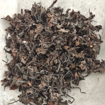 海藻，无硫，一手货源，保质保量，批发各种中药材欢迎订购！