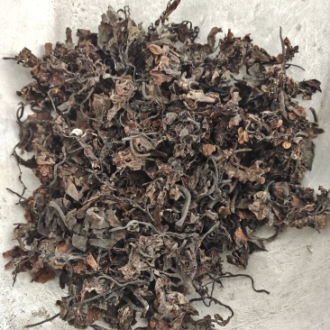 海藻，无硫，一手货源，保质保量，批发各种中药材欢迎订购！