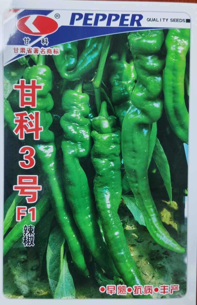 甘科3号陇椒种子，甘科3号陇椒种子，甘科3号陇椒种子。