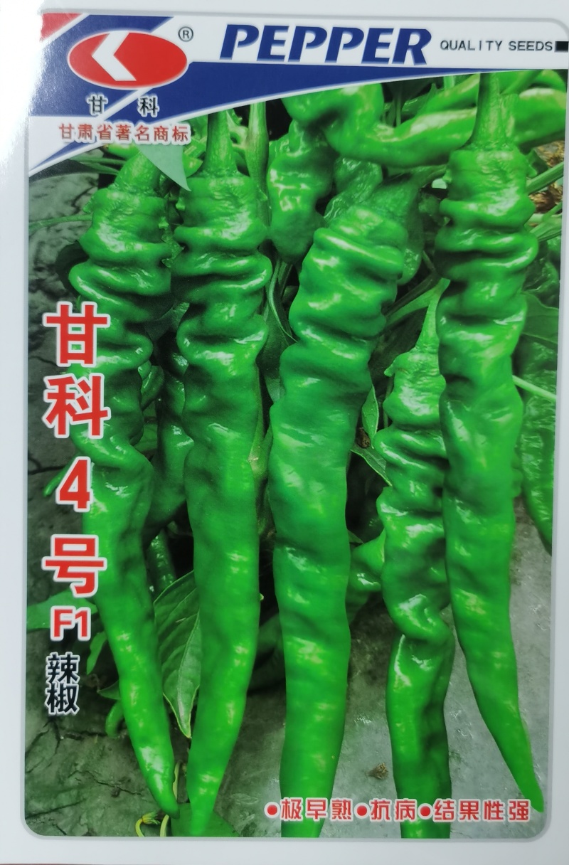甘科3号陇椒种子，甘科3号陇椒种子，甘科3号陇椒种子。