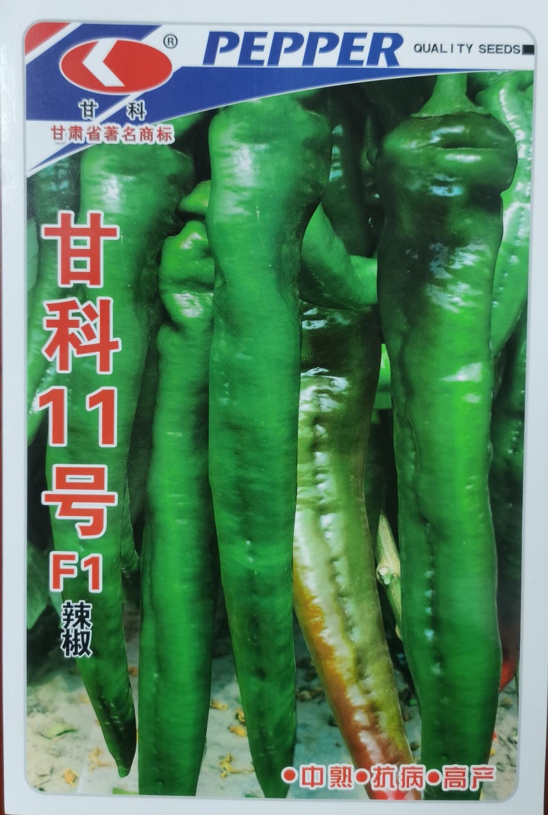 甘科3号陇椒种子，甘科3号陇椒种子，甘科3号陇椒种子。