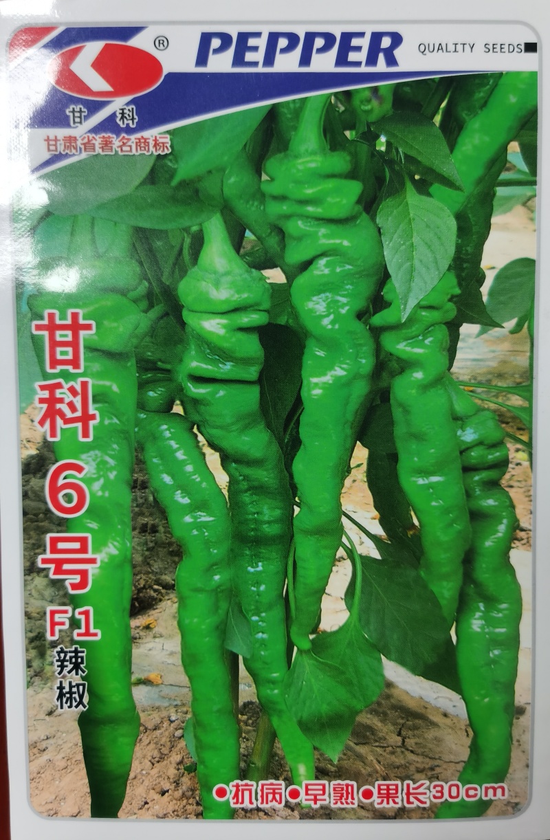 甘科3号陇椒种子，甘科3号陇椒种子，甘科3号陇椒种子。