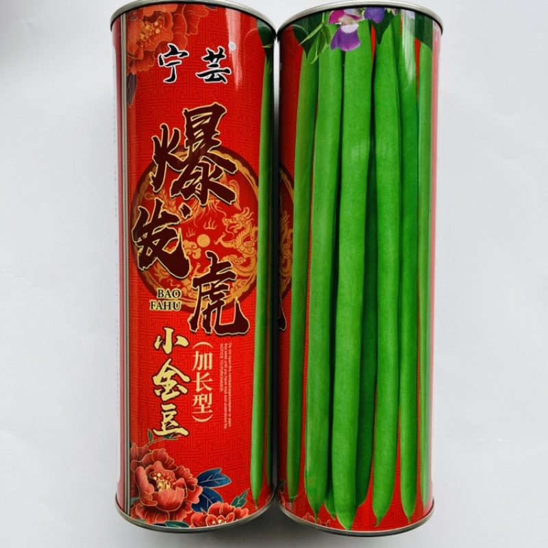 锦绣红花小金豆种子早熟耐低温高产加长型亩产1万斤以上