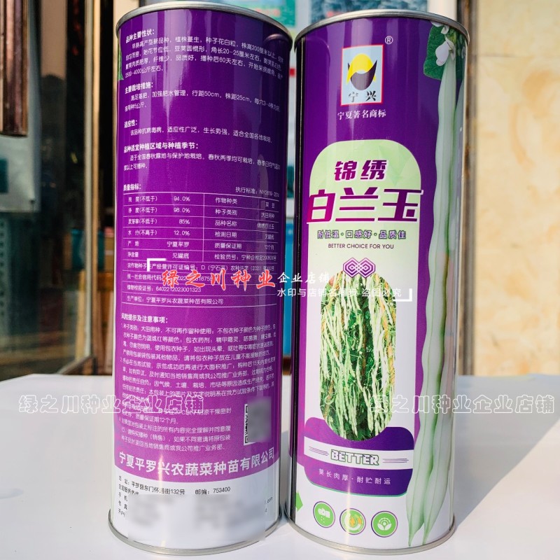 锦绣白兰玉架豆种子丰产早熟九粒白四季豆种子纤维少花白粒