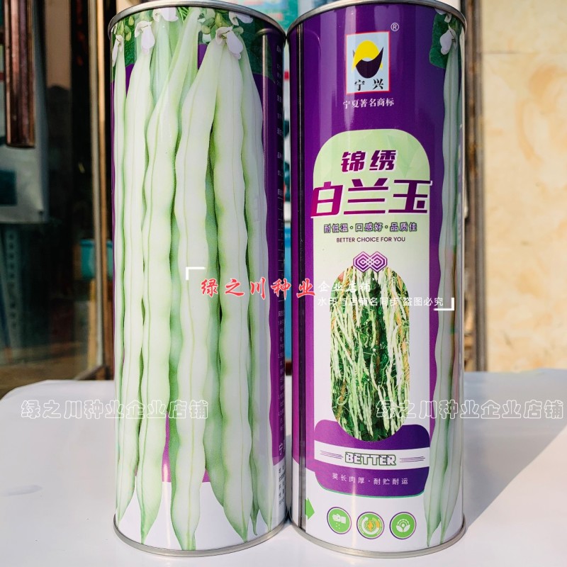 锦绣白兰玉架豆种子丰产早熟九粒白四季豆种子纤维少花白粒