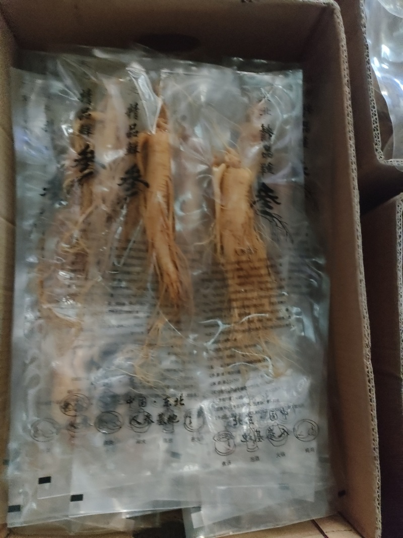 10支~15支一斤的保鲜参