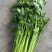 国家地理标志常年芹菜供货香芹玻璃翠诚信经营