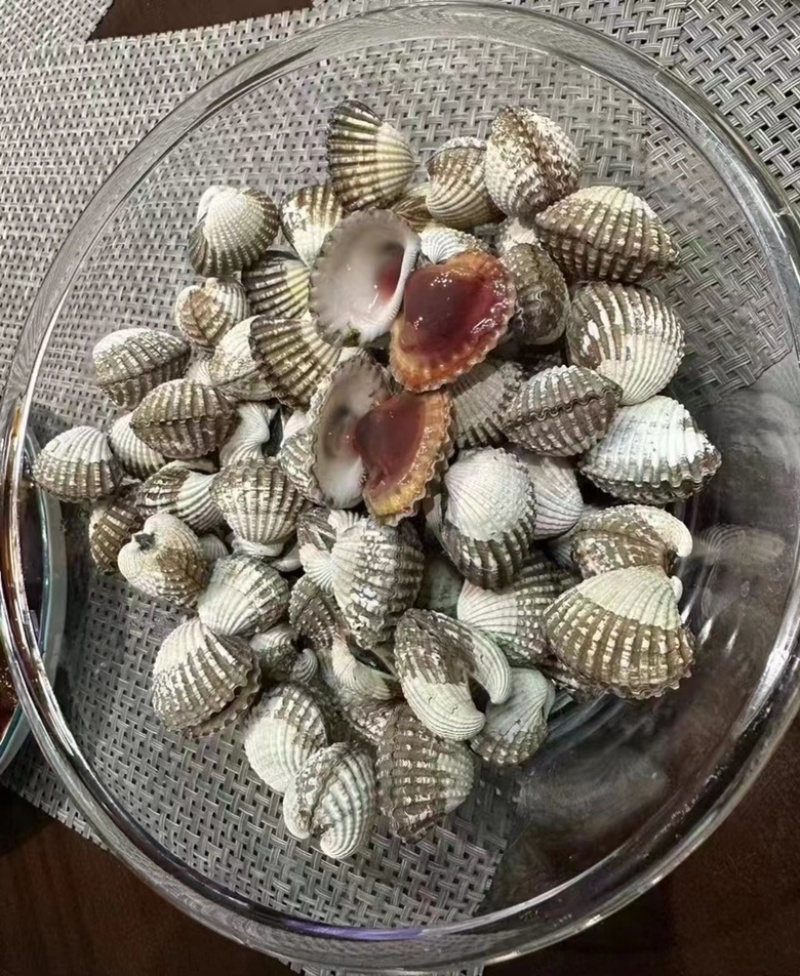 血蛤毛蛤肥鲜活力十足口感无沙。