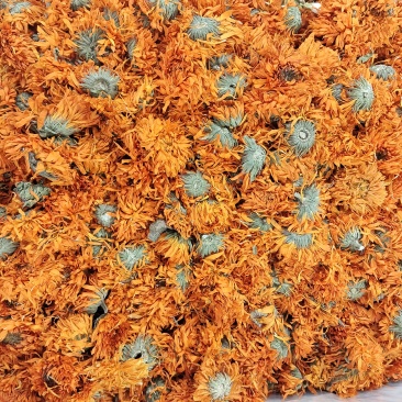 批发零售中药材各种花茶金盏菊万寿菊七彩菊玫瑰花甜叶菊