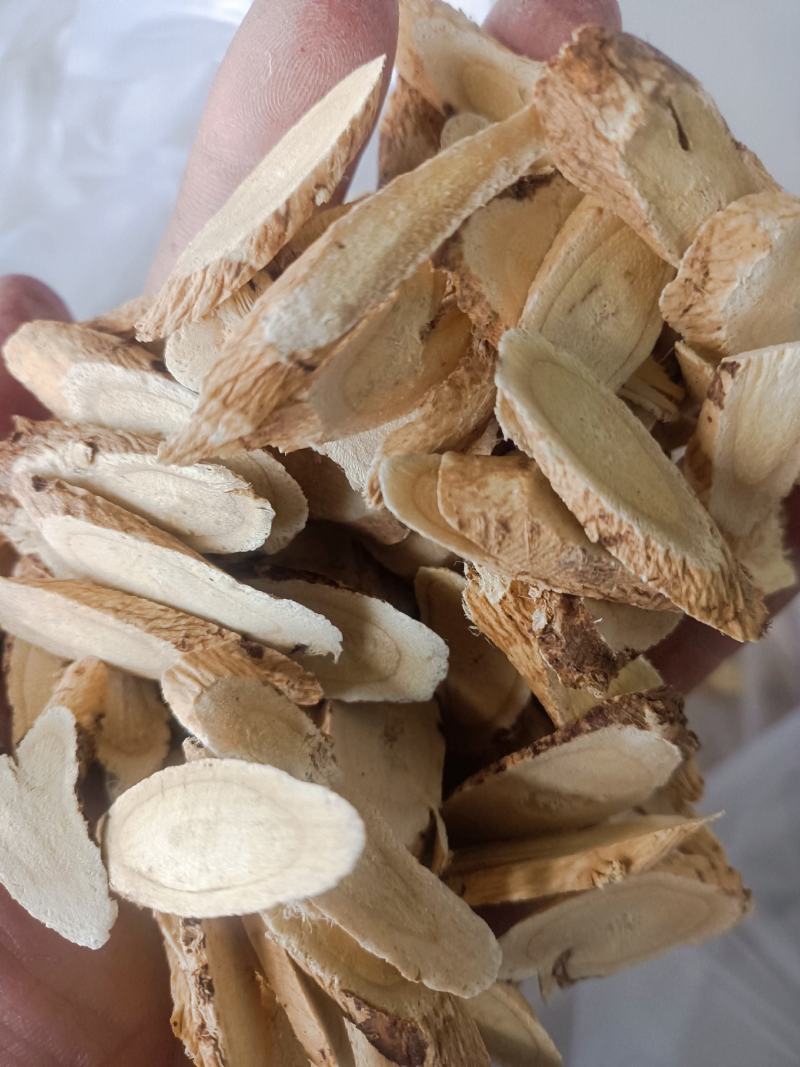 甘肃产地传统养身自然生长三年主根切片黄芪