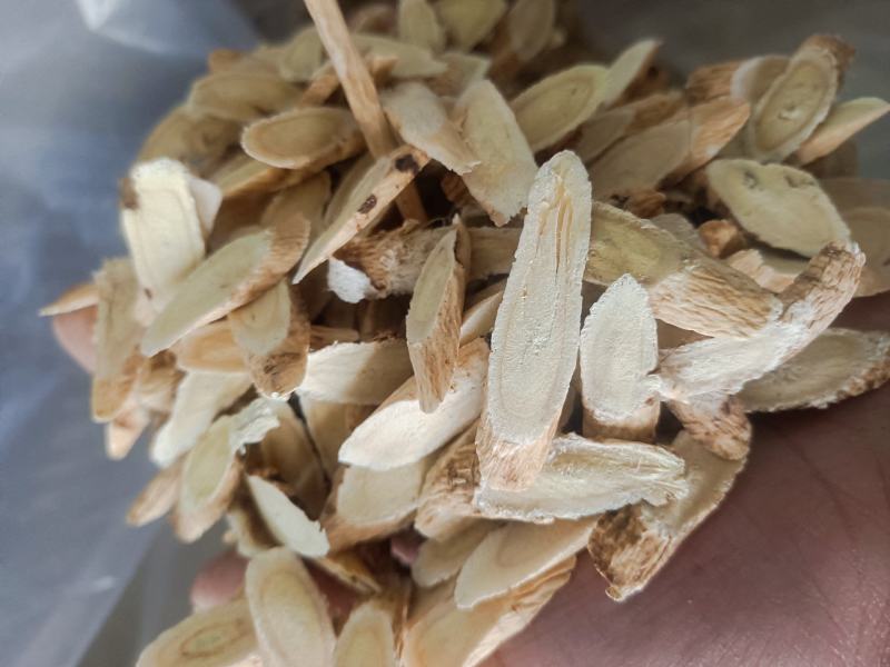 甘肃产地传统养身自然生长三年主根切片黄芪
