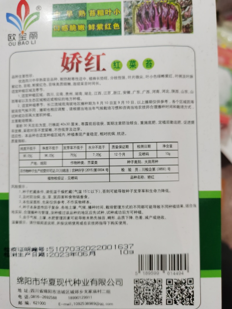 靓丽油绿甜菜心娇红菜心早熟口感好优质