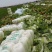 精品白菜货源充足一手货源量大从优质量保证欢迎咨询