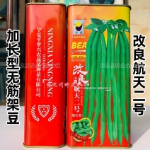 改良航天二号架豆种子加长型泰国无筋豆种子基地专用菜豆种籽