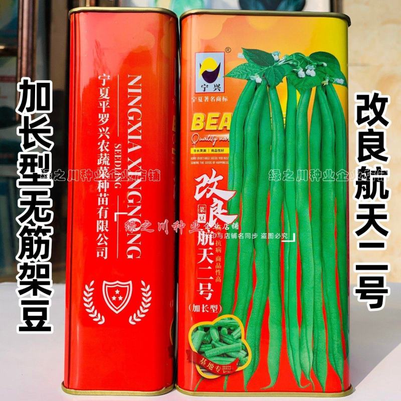 改良航天二号架豆种子加长型泰国无筋豆种子基地专用菜豆种籽