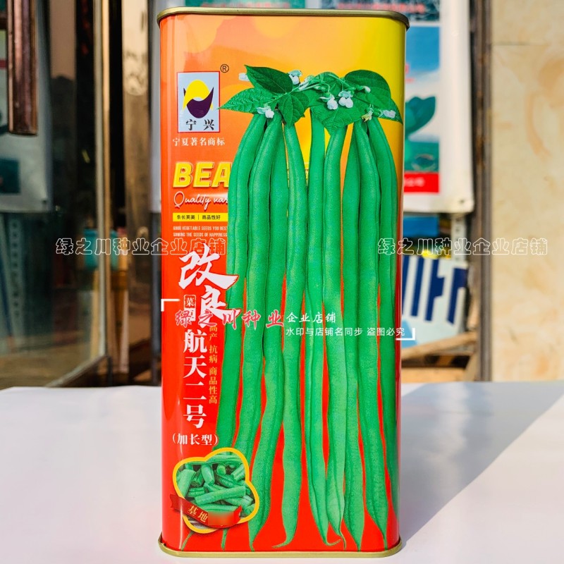 改良航天二号架豆种子加长型泰国无筋豆种子基地专用菜豆种籽