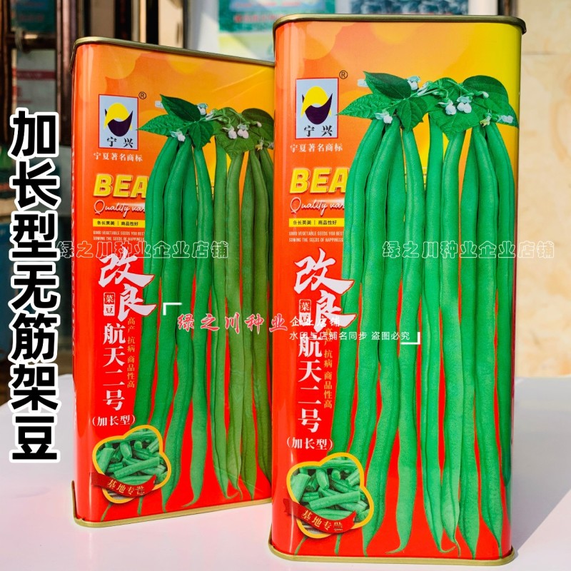 改良航天二号架豆种子加长型泰国无筋豆种子基地专用菜豆种籽
